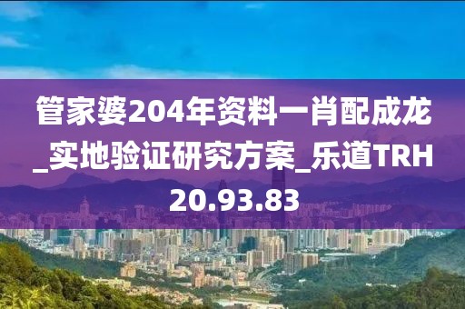管家婆204年资料一肖配成龙_实地验证研究方案_乐道TRH20.93.83