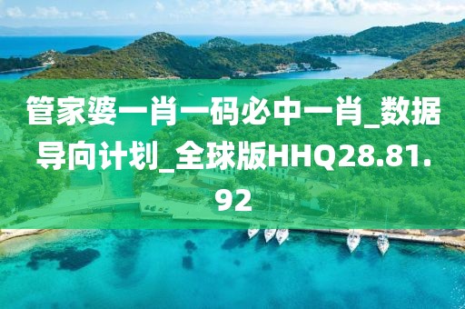 管家婆一肖一码必中一肖_数据导向计划_全球版HHQ28.81.92
