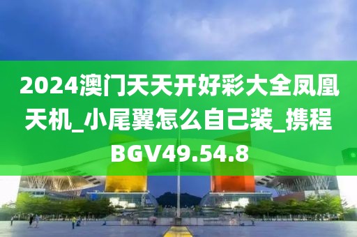 2024澳门天天开好彩大全凤凰天机_小尾翼怎么自己装_携程BGV49.54.8