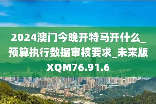 2024澳门今晚开特马开什么_预算执行数据审核要求_未来版XQM76.91.6