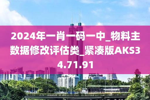2024年一肖一码一中_物料主数据修改评估类_紧凑版AKS34.71.91