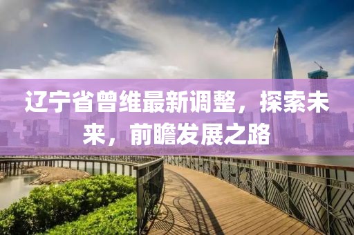 辽宁省曾维最新调整，探索未来，前瞻发展之路