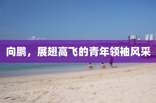 向鹏，展翅高飞的青年领袖风采