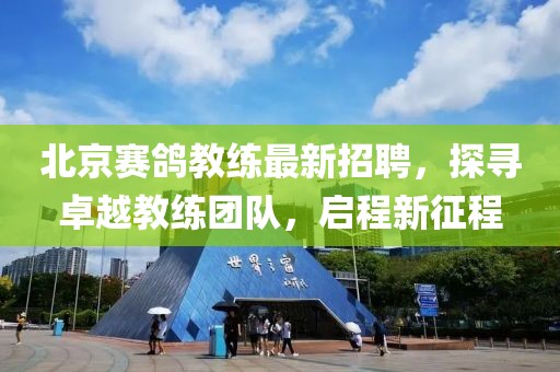 北京赛鸽教练最新招聘，探寻卓越教练团队，启程新征程