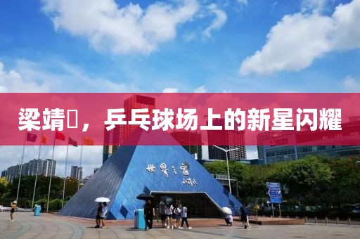 梁靖崑，乒乓球场上的新星闪耀