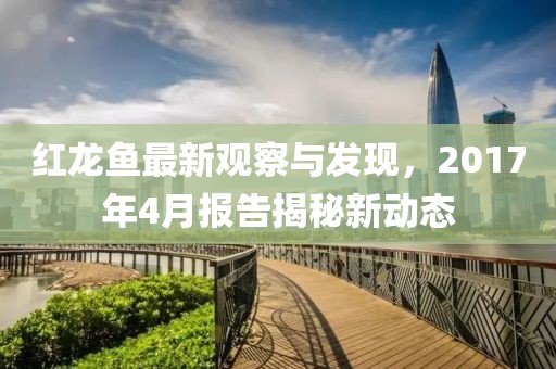 红龙鱼最新观察与发现，2017年4月报告揭秘新动态