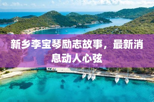 新乡李宝琴励志故事，最新消息动人心弦