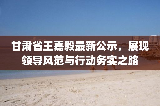 甘肃省王嘉毅最新公示，展现领导风范与行动务实之路