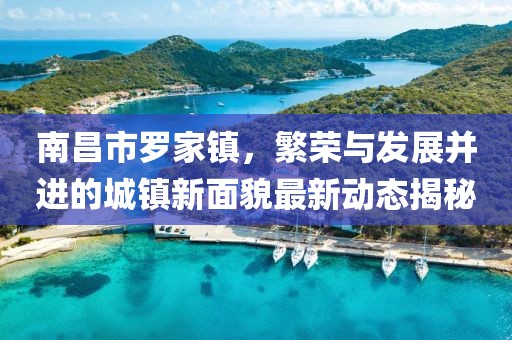 南昌市罗家镇，繁荣与发展并进的城镇新面貌最新动态揭秘