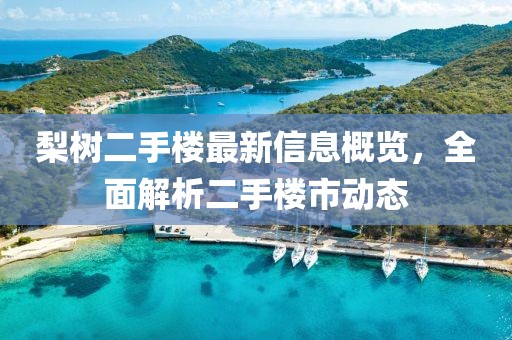 梨树二手楼最新信息概览，全面解析二手楼市动态