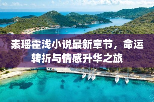 素瑶霍浅小说最新章节，命运转折与情感升华之旅