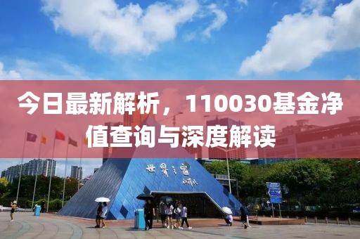 今日最新解析，110030基金净值查询与深度解读