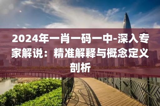2024年一肖一码一中-深入专家解说：精准解释与概念定义剖析