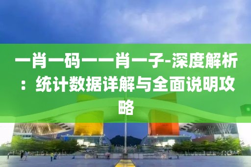一肖一码一一肖一子-深度解析：统计数据详解与全面说明攻略