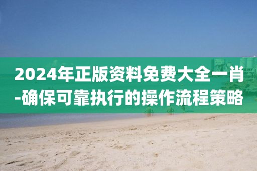 2024年正版资料免费大全一肖-确保可靠执行的操作流程策略