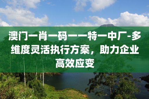 澳门一肖一码一一特一中厂-多维度灵活执行方案，助力企业高效应变