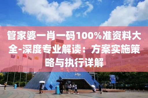 管家婆一肖一码100%准资料大全-深度专业解读：方案实施策略与执行详解