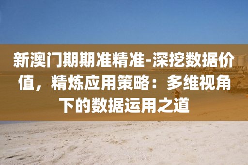 新澳门期期准精准-深挖数据价值，精炼应用策略：多维视角下的数据运用之道