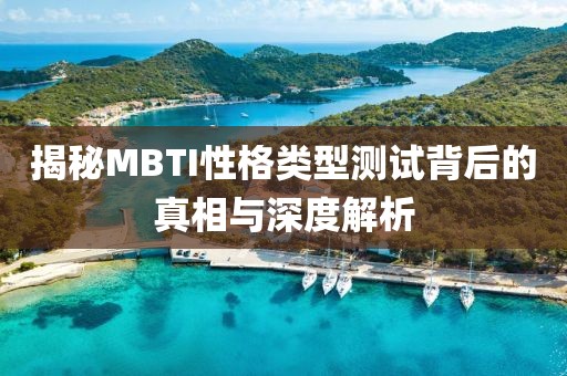 揭秘MBTI性格类型测试背后的真相与深度解析