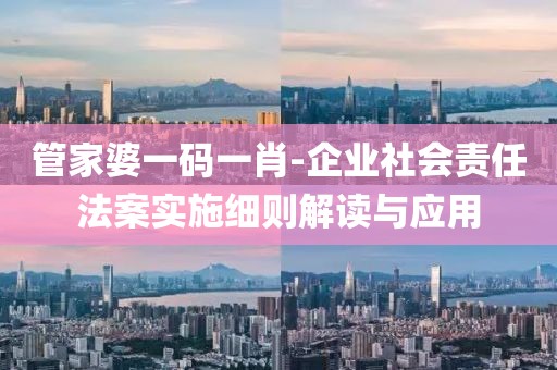 管家婆一码一肖-企业社会责任法案实施细则解读与应用