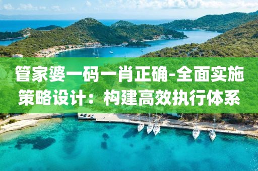 管家婆一码一肖正确-全面实施策略设计：构建高效执行体系