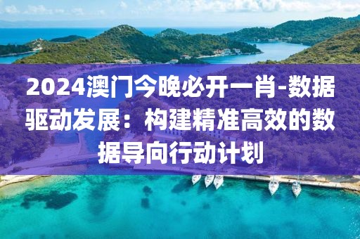 2024澳门今晚必开一肖-数据驱动发展：构建精准高效的数据导向行动计划