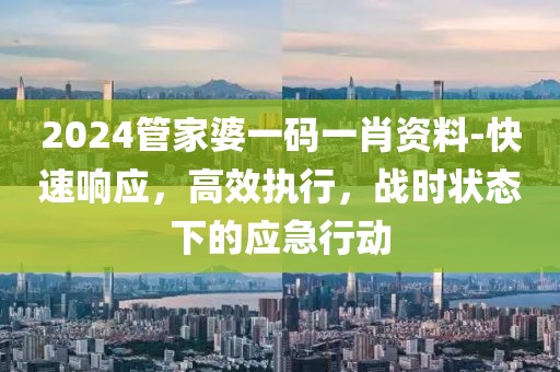 2024管家婆一码一肖资料-快速响应，高效执行，战时状态下的应急行动