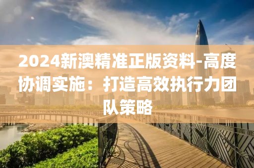 2024新澳精准正版资料-高度协调实施：打造高效执行力团队策略