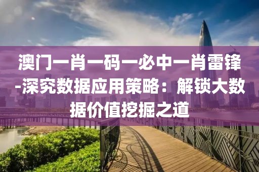澳门一肖一码一必中一肖雷锋-深究数据应用策略：解锁大数据价值挖掘之道