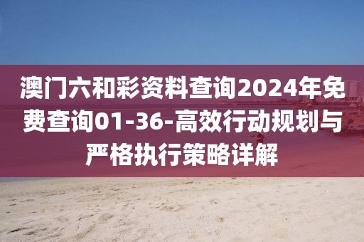 澳门六和彩资料查询2024年免费查询01-36-高效行动规划与严格执行策略详解