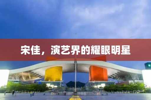 宋佳，演艺界的耀眼明星