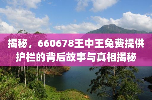 揭秘，660678王中王免费提供护栏的背后故事与真相揭秘