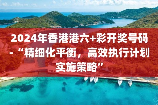 2024年香港港六+彩开奖号码-“精细化平衡，高效执行计划实施策略”