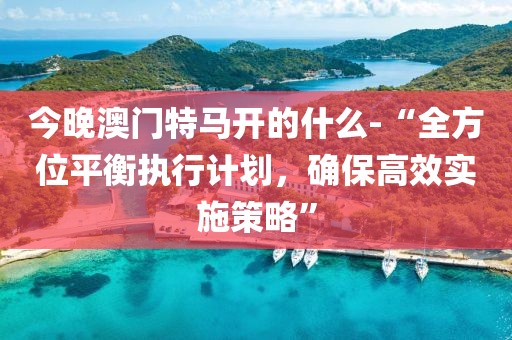 今晚澳门特马开的什么-“全方位平衡执行计划，确保高效实施策略”