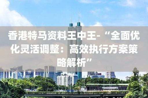 香港特马资料王中王-“全面优化灵活调整：高效执行方案策略解析”