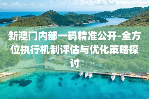 新澳门内部一码精准公开-全方位执行机制评估与优化策略探讨