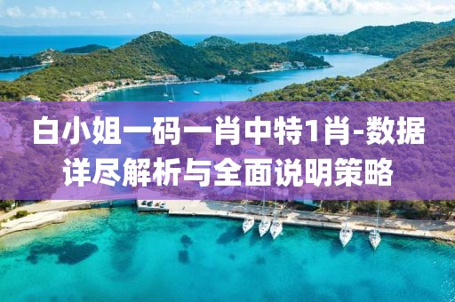 白小姐一码一肖中特1肖-数据详尽解析与全面说明策略