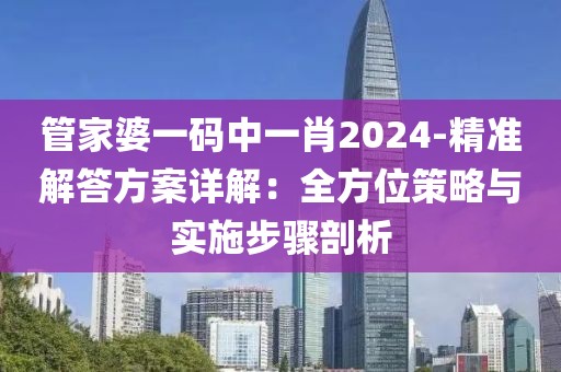 管家婆一码中一肖2024-精准解答方案详解：全方位策略与实施步骤剖析