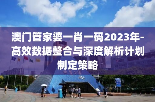 澳门管家婆一肖一码2023年-高效数据整合与深度解析计划制定策略