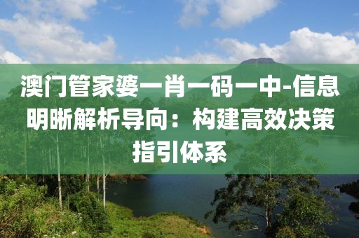 澳门管家婆一肖一码一中-信息明晰解析导向：构建高效决策指引体系