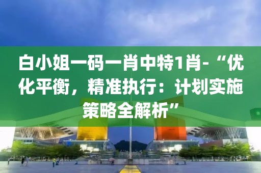 白小姐一码一肖中特1肖-“优化平衡，精准执行：计划实施策略全解析”