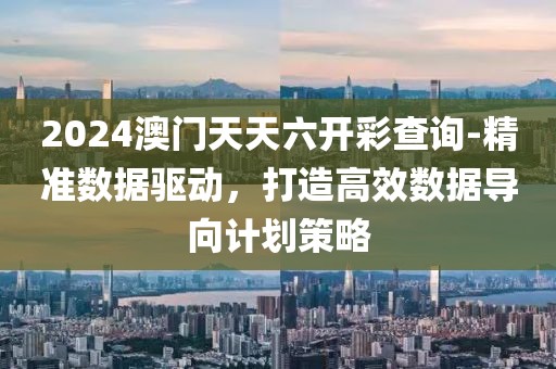 2024澳门天天六开彩查询-精准数据驱动，打造高效数据导向计划策略