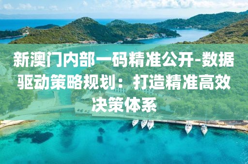 新澳门内部一码精准公开-数据驱动策略规划：打造精准高效决策体系