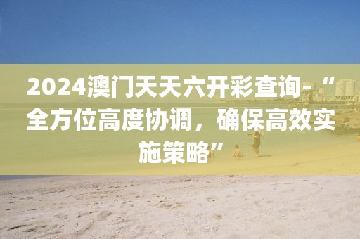 2024澳门天天六开彩查询-“全方位高度协调，确保高效实施策略”