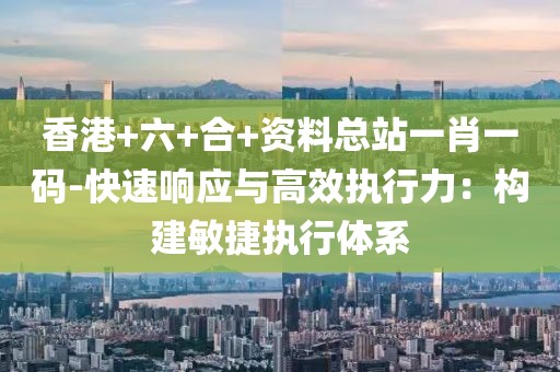 香港+六+合+资料总站一肖一码-快速响应与高效执行力：构建敏捷执行体系