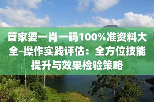 管家婆一肖一码100%准资料大全-操作实践评估：全方位技能提升与效果检验策略