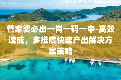 管家婆必出一肖一码一中-高效速成，多维度快速产出解决方案策略