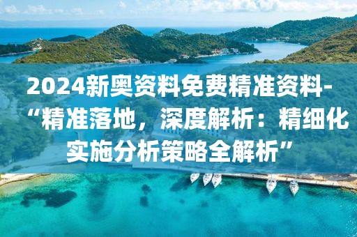 2024新奥资料免费精准资料-“精准落地，深度解析：精细化实施分析策略全解析”