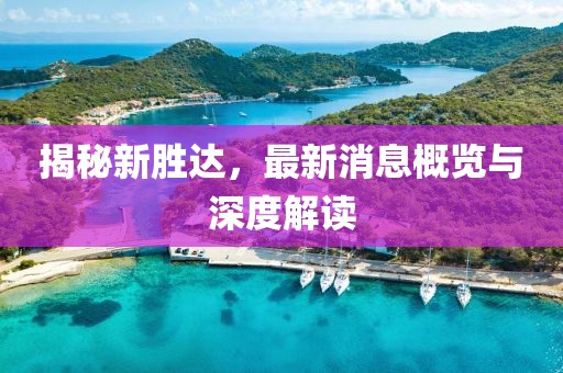 揭秘新胜达，最新消息概览与深度解读