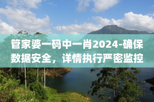 管家婆一码中一肖2024-确保数据安全，详情执行严密监控